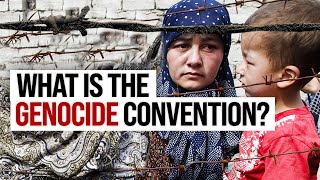 Is Genocide Prevention an International Law?