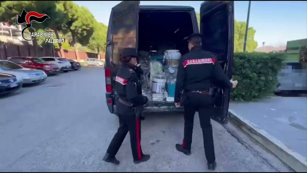 Serra di marijuana a Monreale in una villa: scatta l’arresto