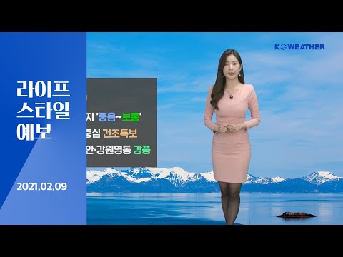 [날씨] 2월 9일_오늘(화) 낮부터 추위 풀려…동쪽 중심 건조특보