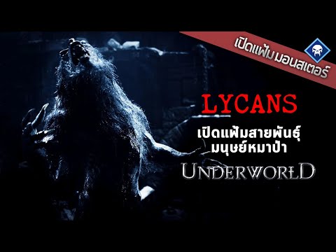 เปิดแฟ้มมอนสเตอร์ : Lycans เปิดแฟ้มสายพันธ์ุหมาป่าแห่งสงครามโค่นพันธุ์อสูร | Underworld