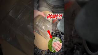 From trash to deadly weapon—glass spearhead transformation 😱🔥 #craft #shorts