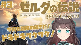 [LIVE] 【ゼルダの伝説】＃3    冒険の続きだ！！　【新人Vtuber/ 天天りんね】