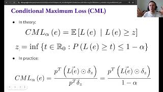 14. Conditional Maximum Loss Portfolio Optimization
