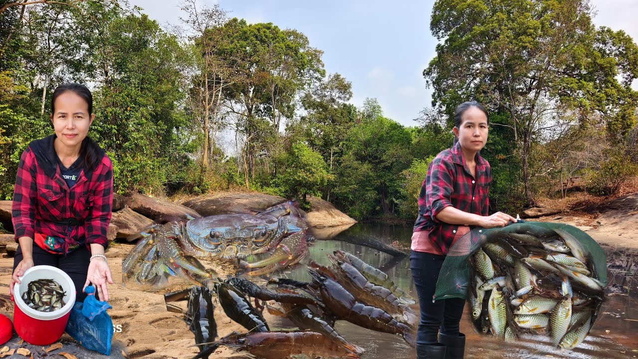 ดักปลาข้ามคืนหมานกุ้งปูขนปลาหลากหลายชนิดจ้า7 ก.พ 69