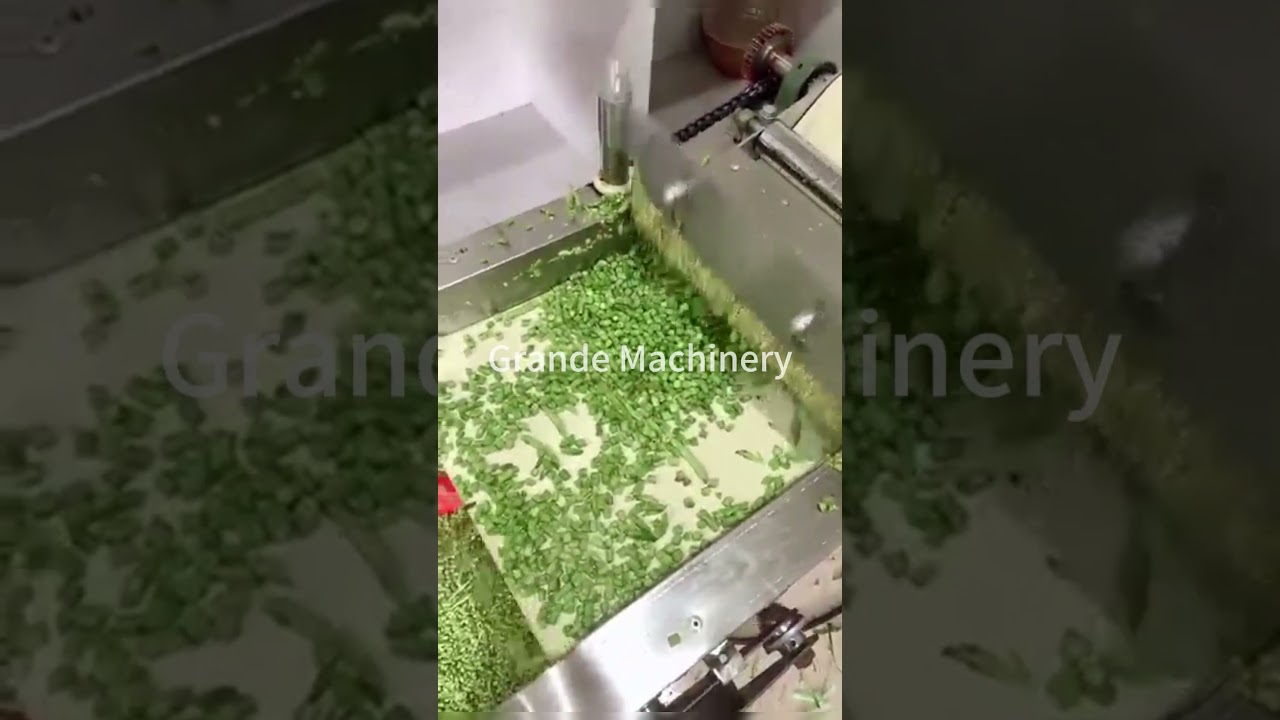 Vegetable slicer cutter shredding machine for parsley cucumber cutting machine Diced beans leeks