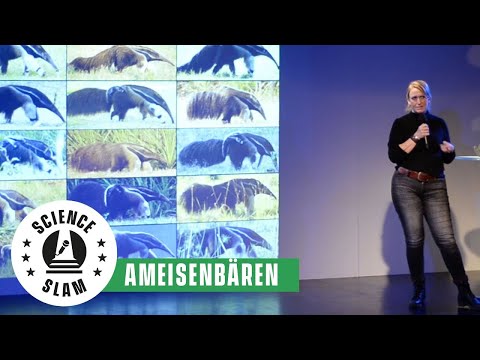 Video: Insektenfresser: Liste, Beispiele. Was fressen Raubinsekten?