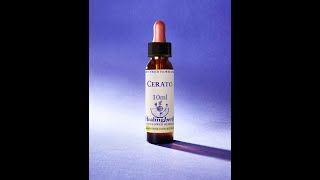 Cerato Bach flower remedy  for not trusting in your intuition, or believing in yourself.