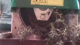 Wine Making Part 1 Destemming The Grapes