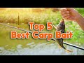 Best Carp Bait In 2022 | Top 5 Carp Baits In Market