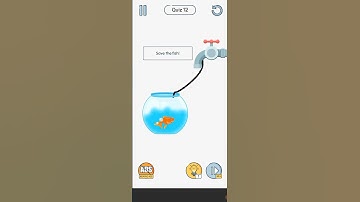 🧠 BRAIN UP LEVEL  12