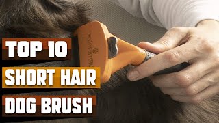 Best Brush For Short Hair Dog In 2024  Top 10 Brush For Short Hair Dogs Review