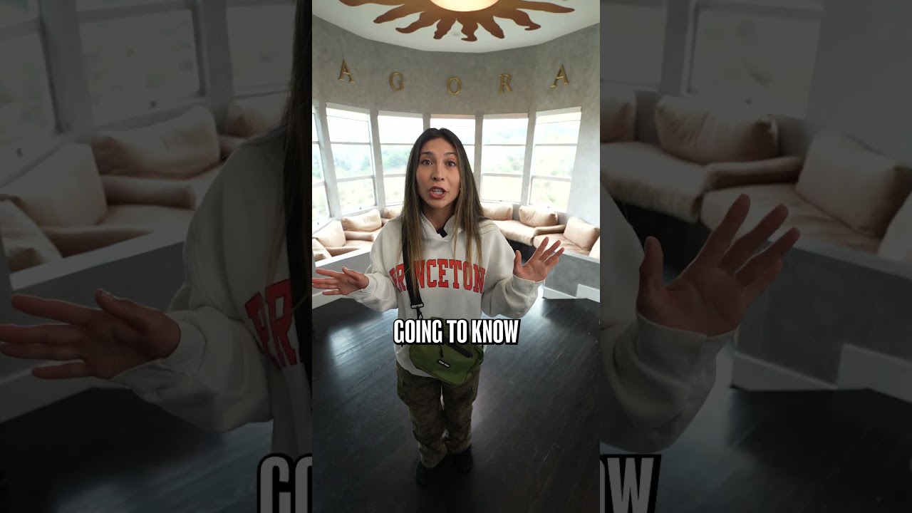 Best Smell Proof Bags for Travel & Storage | Perfect Bag for my herbs | Smell Proof