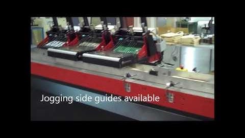 Friction Feeder with Batch Counter and Collator - Pineberry HSF Feeder