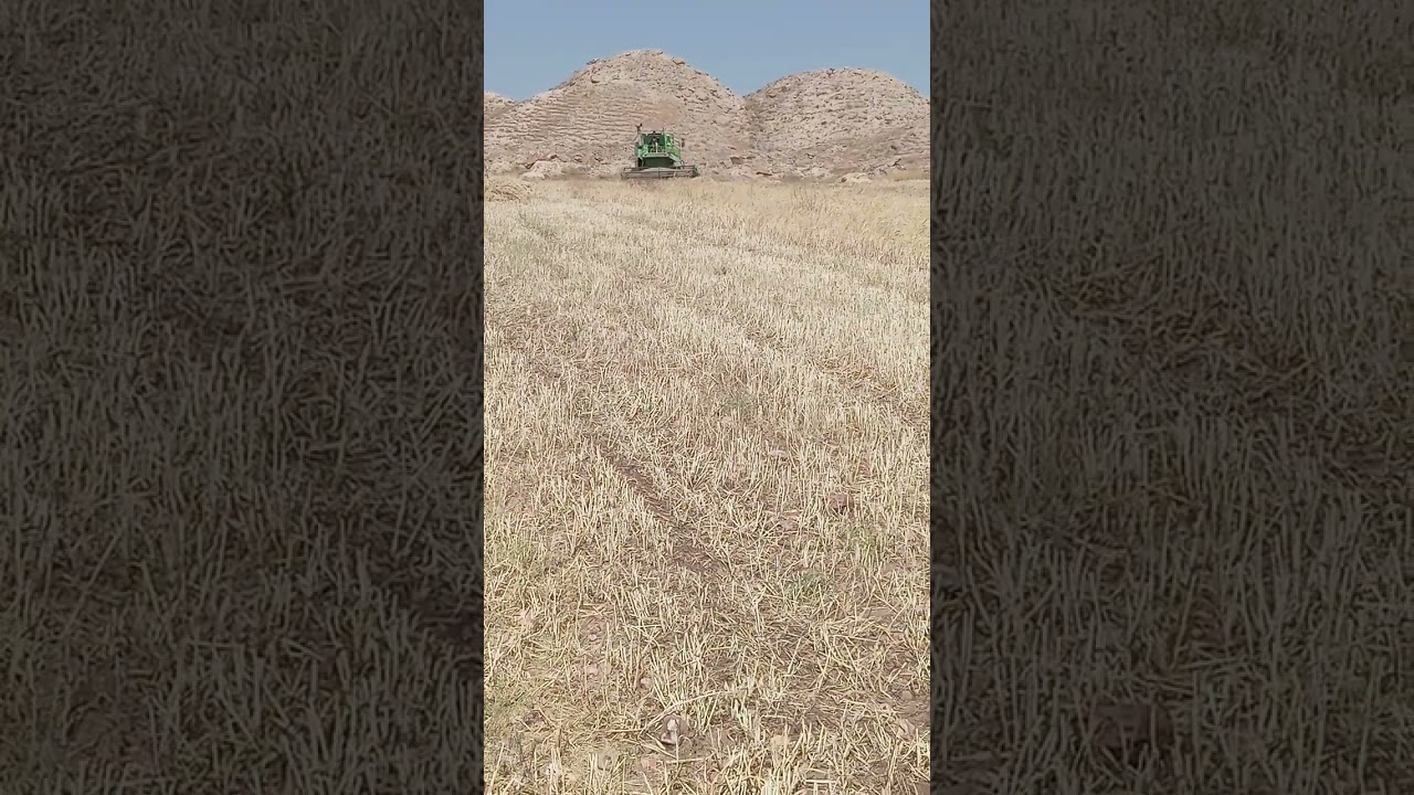 The German-made Dodz Fahr 1202 combine harvester is distinguished by its agricultural power.