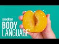 Understanding the Vaginal Microbiome