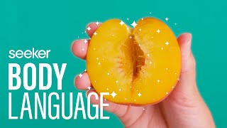 Uncovering the Magical Microbial World of the Vagina