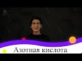 Азотная кислота. 9 класс.