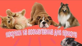 Покупки из зоомагазина/ для собак и кошек/ для приюта Покупки из зоомагазина/ для собак и кошек/ для приюта
