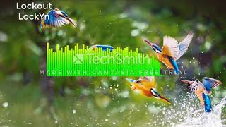 Lockout-LockYn (Electro)