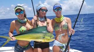 Bull & Cow Mahi Tournament Two Conchs