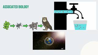 IB 110 Final Pipeline Presentation