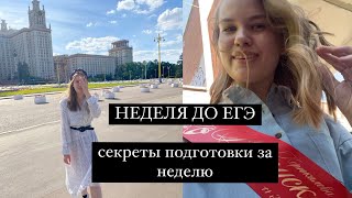 НЕДЕЛЯ ДО ЕГЭ I как провести это время максимально эффективно