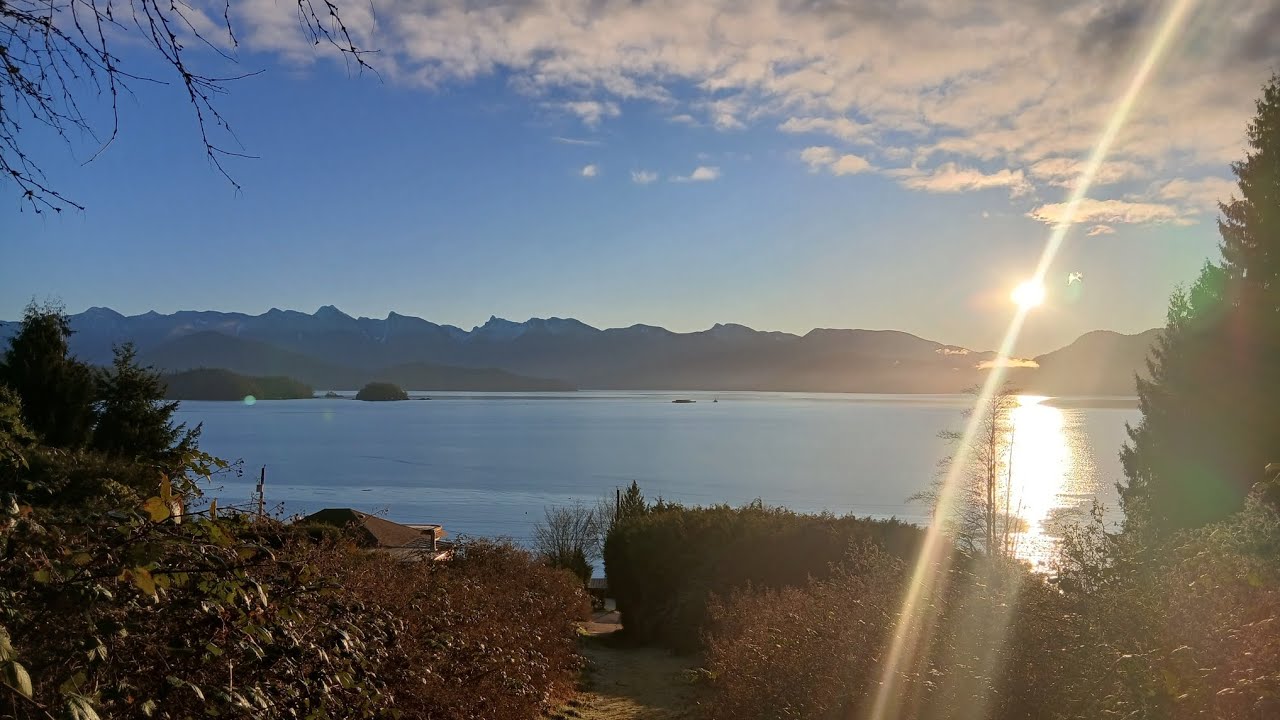 🤍✨️YOU ARE ALREADY DIVINE ✨️🤍