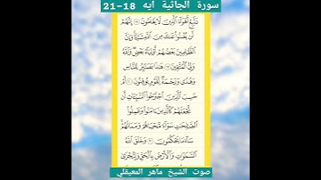 سورة الجاثية آيه 18-21 صوت الشيخ ماهر المعيقلي أكتب شئ تؤجر عليه🌹