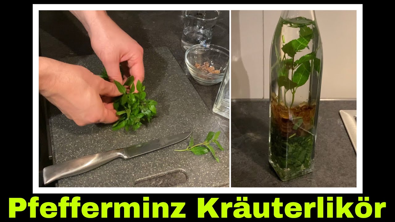 Pfefferminze Kräuterlikör herstellen | Pfefferminzlikör ansetzen | Selbstversorgung: Likör