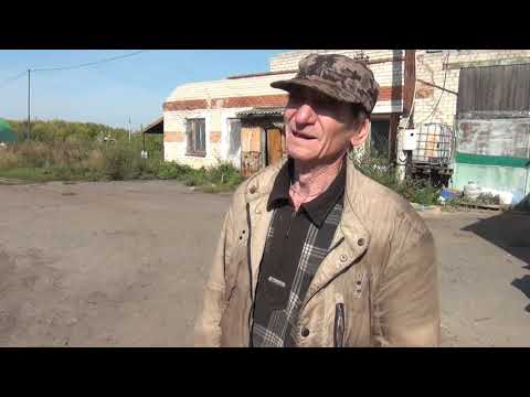 Поддоны из отходов № 03. Берем в долю..