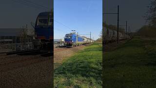 Blue 💙 HSL vectron 😍 with sugar train #hsl #vectron #train #cargoconnect #trainspotting
