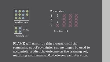 Intro to the dame-flame Python Package
