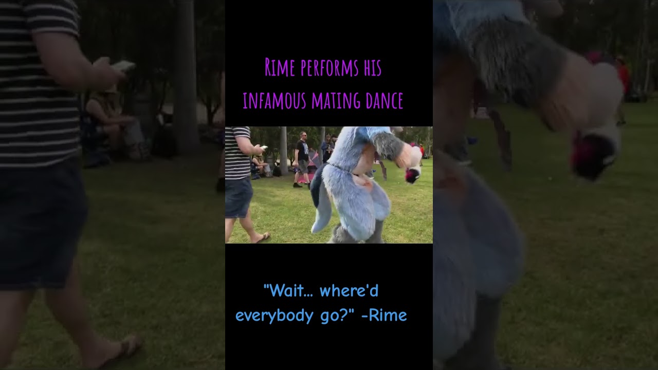 Rime the Furry's Infamous "Mating Dance" at FURJAM 2025