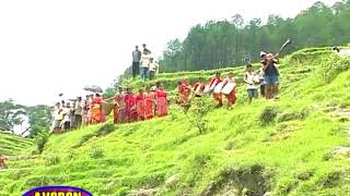 asar 15 song (Ropai song)