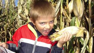 Jonah's Grad Video
