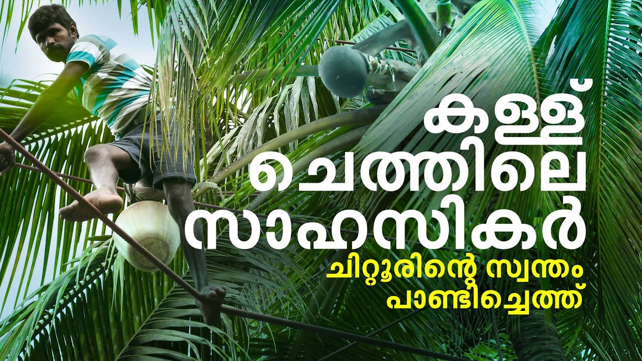 കയറിലോടും കള്ള് ചെത്തും.. ചിറ്റൂരിൻ്റെ സ്വന്തം പാണ്ടിച്ചെത്ത് 
