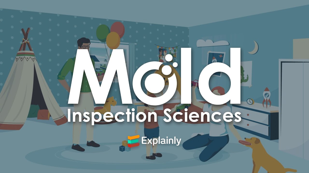 Mold Inspection Sciences | 2D Animated Explainly Video