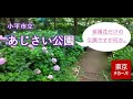 小平市立あじさい公園