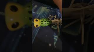 All The Lures I Know The Best Use This Sound