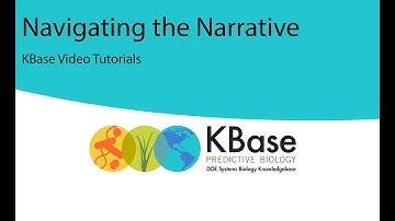 Narrative Interface Guide