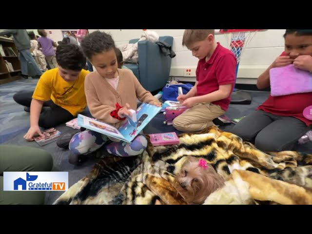 Kids read to dogs thanks to Grateful Rescue's Wag The Dog Readers program