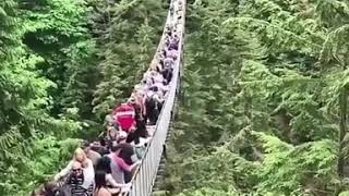 Would you dare to cross this bridge or be scared?😮😱