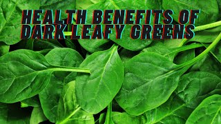 Exploring the health benefits of dark leafy greens by Health Pulse 77 views 1 month ago 4 minutes, 39 seconds