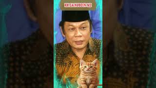 Ceramah Lucu K H Zainudin Mz Tentang Kucing shotrs short