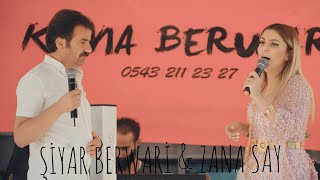 Şiyar Berwari -  Zana Say - Hakkari Marufi Aşireti Düğünü [ 2021 ©  ] شيار برواري