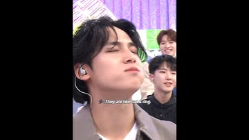 SEUNGKWAN cursing MINGYU with his eyes😆😁#Seventeen#Mingyu#Seungkwan#Wonwoo#Dk#woozi#Dino#Joshua#The8