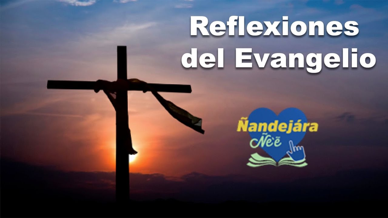 HOMILIA DE HOY | Domingo 25 de Agosto del 2024 - YouTube