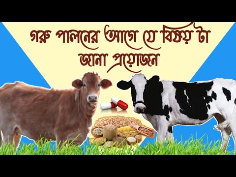 ভিডিও: বাসকম পামারের কি জরুরি ঘর আছে?