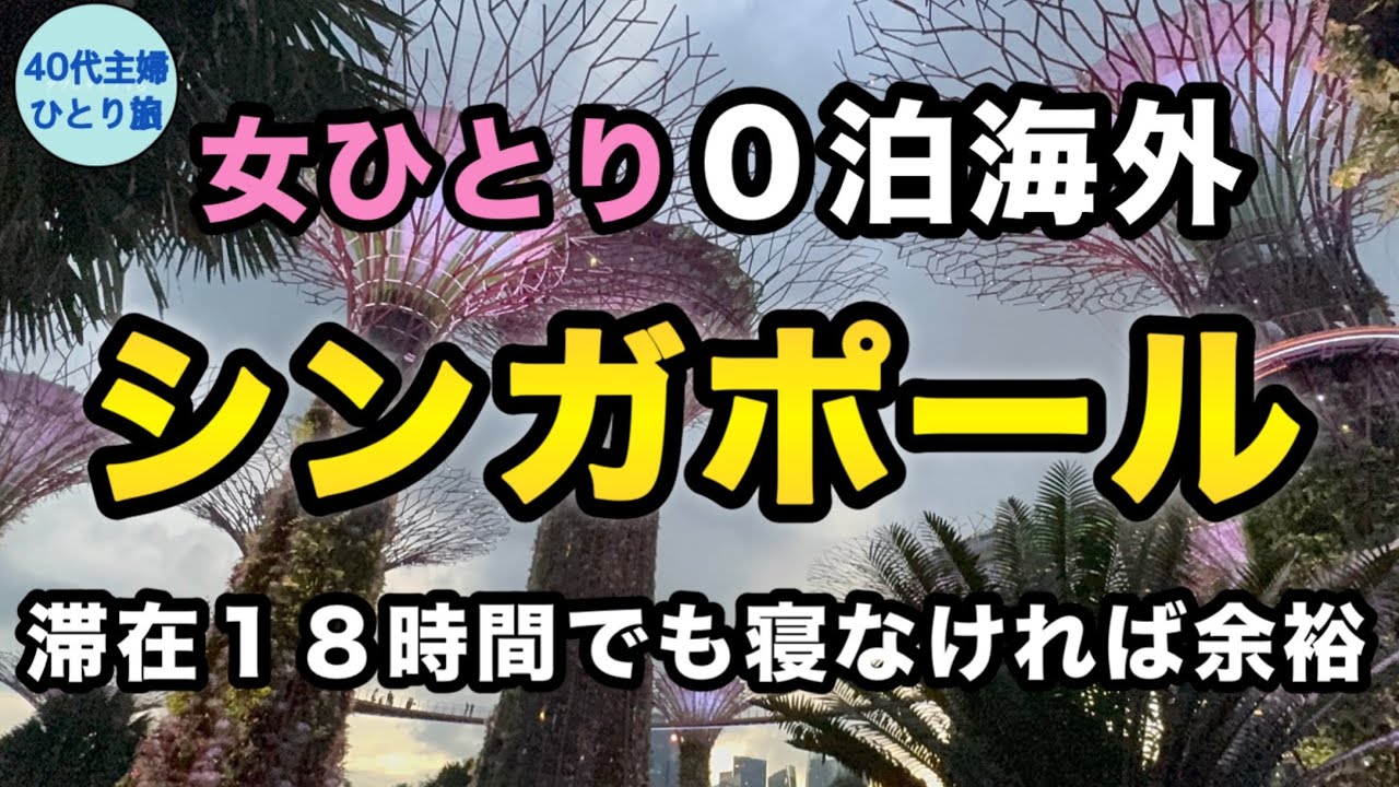 【女ひとりシンガポール】物価高いし泊まらず帰ろ〜【キャセイパシフィック香港乗り継ぎ】