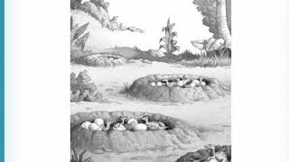 Fluency Chapter 6